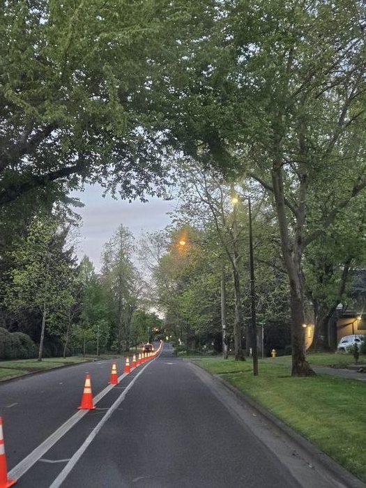 Traffic control cones stretching down a tree-lined street at dusk in Eugene Oregon